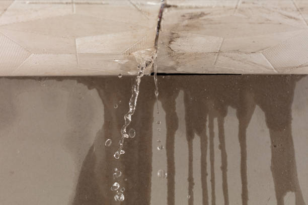 Professional Sewage Cleanup technician working in Springboro, OH